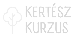 Kertész Kurzus